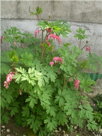56ac1e1a-Picture 7167.jpg